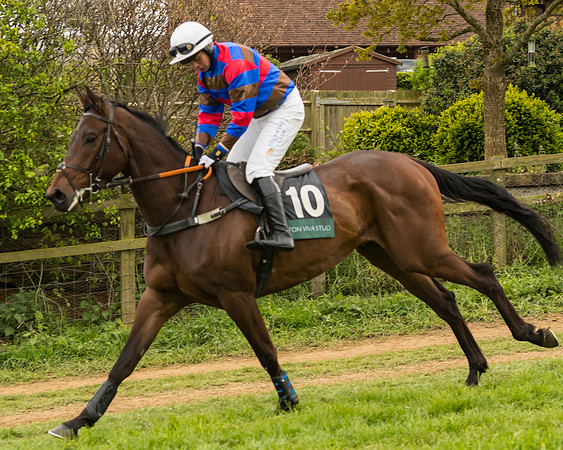 Race 7 - Open Maiden (100 of 157)