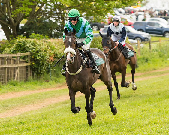 Race 7 - Open Maiden (101 of 157)