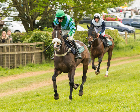 Race 7 - Open Maiden (102 of 157)