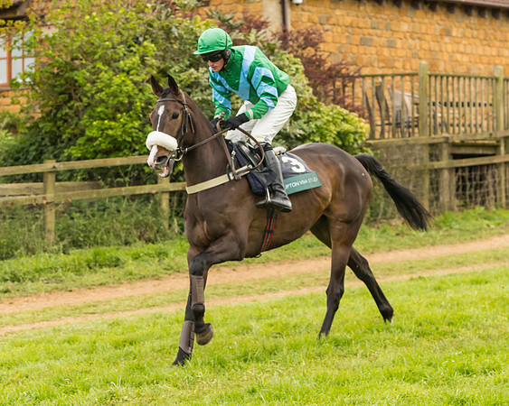 Race 7 - Open Maiden (103 of 157)