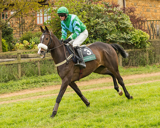 Race 7 - Open Maiden (104 of 157)