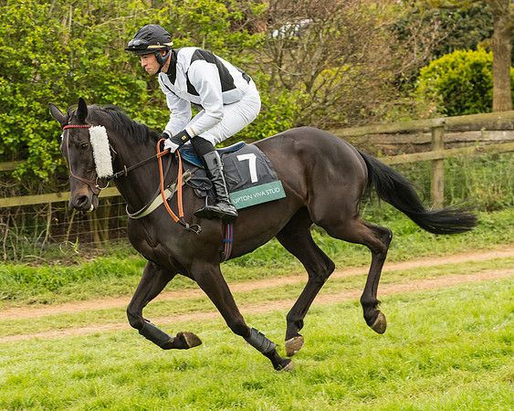 Race 7 - Open Maiden (106 of 157)