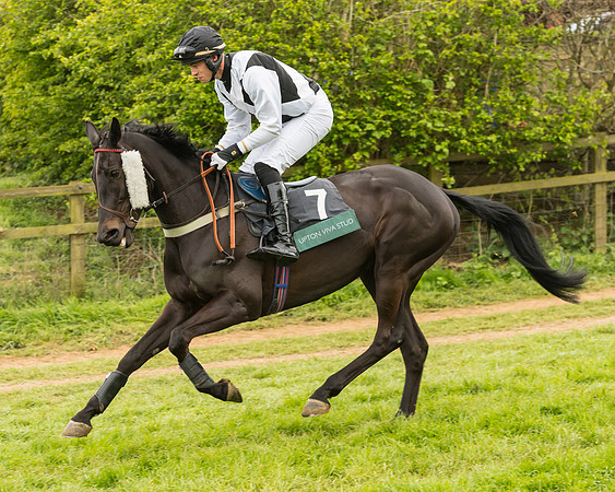 Race 7 - Open Maiden (107 of 157)