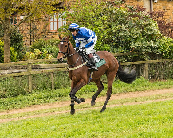 Race 7 - Open Maiden (109 of 157)