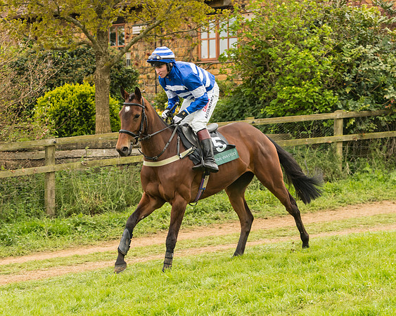 Race 7 - Open Maiden (110 of 157)