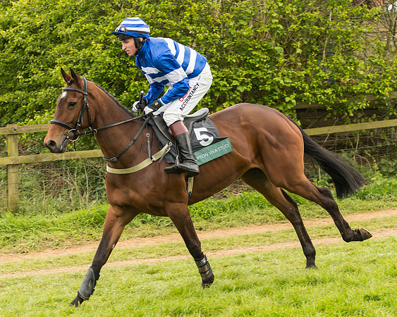 Race 7 - Open Maiden (111 of 157)