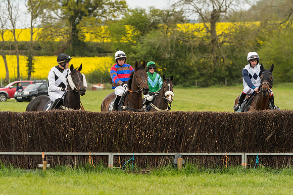 Race 7 - Open Maiden (113 of 157)