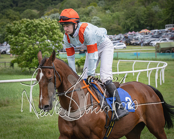 Race 1 - The owner-trainer Conditions race (15 of 118)