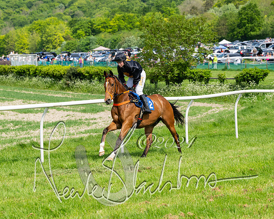 Race 3 - Ladies Open  (49 of 133)