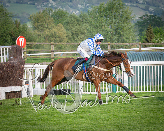 Race 4 - The Jonathan Neesom memorial open Hunter’s steeplechase 3m2f 70y (73 of 167)