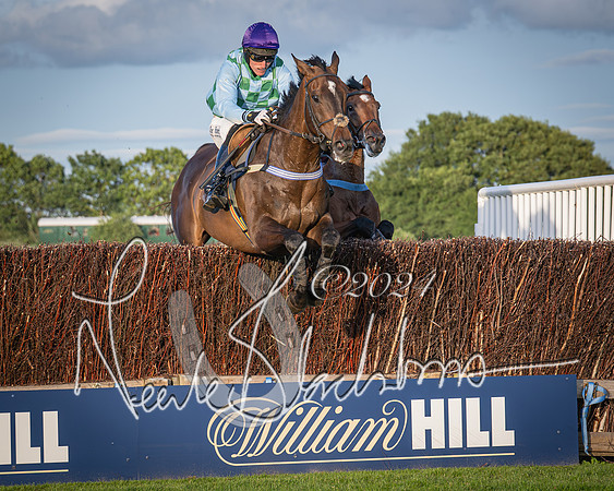 Race 5 - tipsterreviews.co.uk handicap (44 of 107)