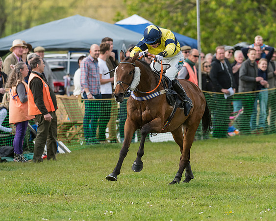 Race 6 - Conditions Race (66 of 76)