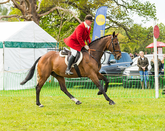 Race 1 - Novice and Veteran riders (1 of 61)