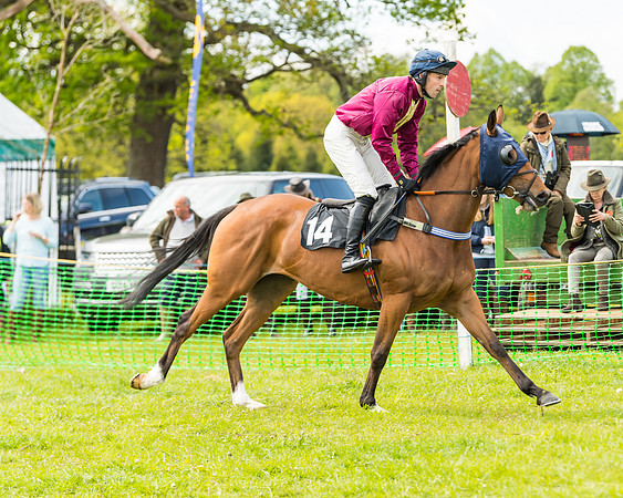 Race 1 - Novice and Veteran riders (5 of 61)