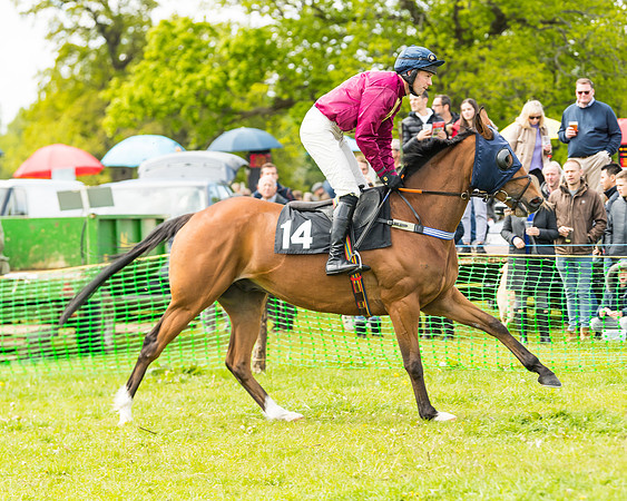 Race 1 - Novice and Veteran riders (6 of 61)