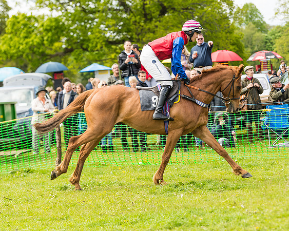 Race 1 - Novice and Veteran riders (10 of 61)
