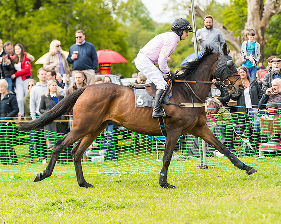 Race 1 - Novice and Veteran riders (13 of 61)