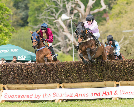 Race 1 - Novice and Veteran riders (14 of 61)