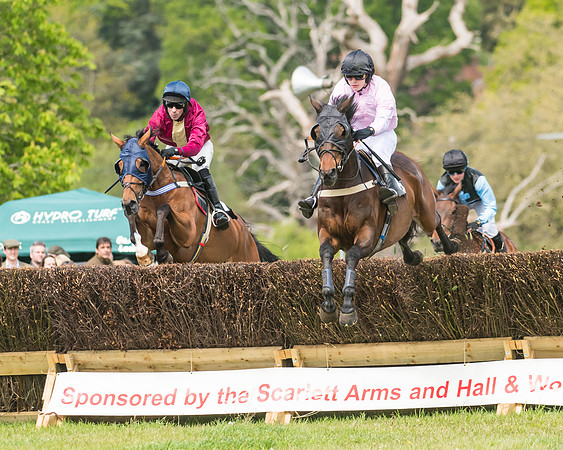 Race 1 - Novice and Veteran riders (15 of 61)