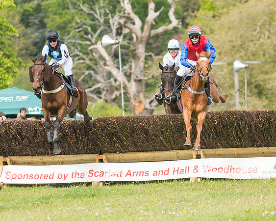 Race 1 - Novice and Veteran riders (19 of 61)