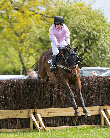Race 1 - Novice and Veteran riders (24 of 61)