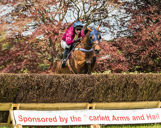 Race 1 - Novice and Veteran riders (34 of 61)