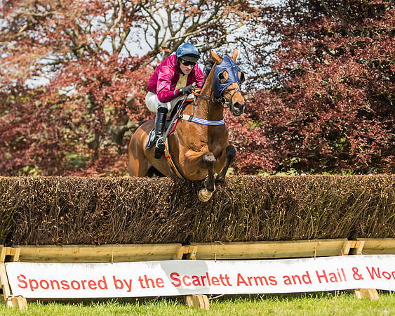 Race 1 - Novice and Veteran riders (35 of 61)