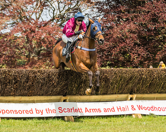 Race 1 - Novice and Veteran riders (36 of 61)
