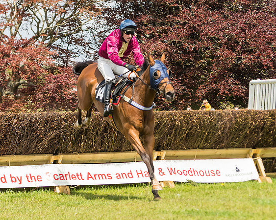 Race 1 - Novice and Veteran riders (37 of 61)