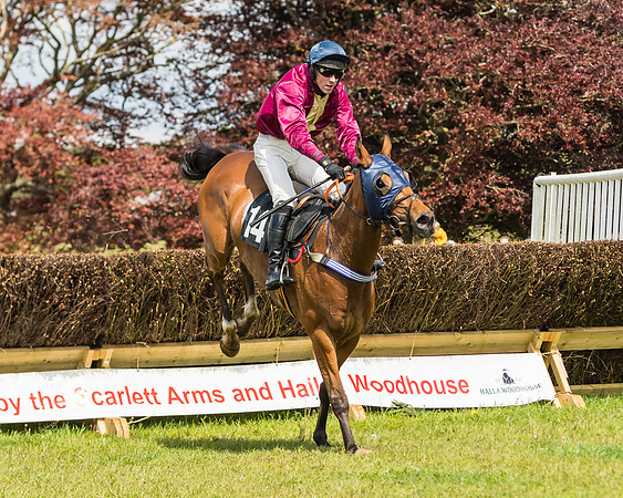 Race 1 - Novice and Veteran riders (38 of 61)