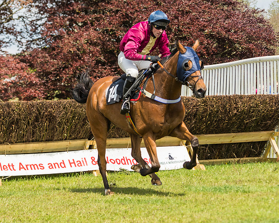 Race 1 - Novice and Veteran riders (39 of 61)
