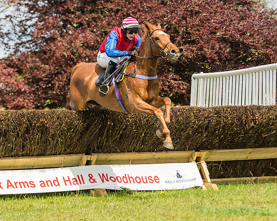 Race 1 - Novice and Veteran riders (43 of 61)