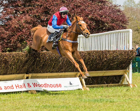 Race 1 - Novice and Veteran riders (44 of 61)
