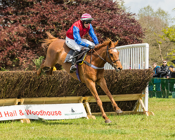 Race 1 - Novice and Veteran riders (45 of 61)
