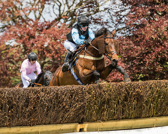 Race 1 - Novice and Veteran riders (46 of 61)