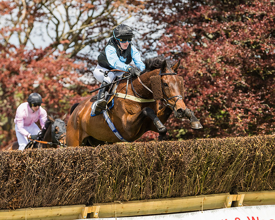 Race 1 - Novice and Veteran riders (47 of 61)