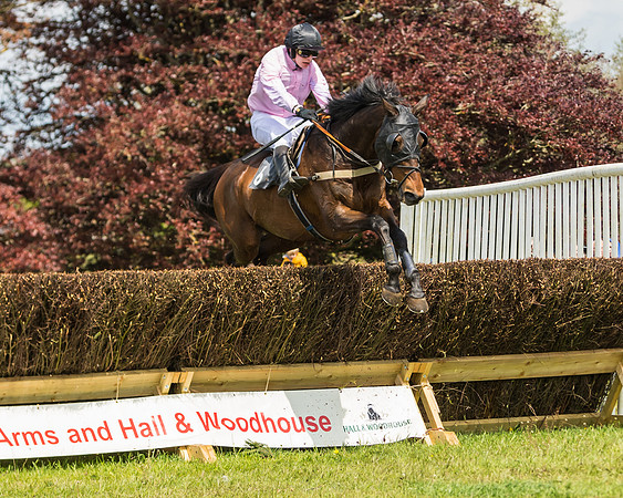 Race 1 - Novice and Veteran riders (52 of 61)