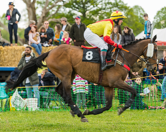 Race 2 - Restricted (3 of 48)
