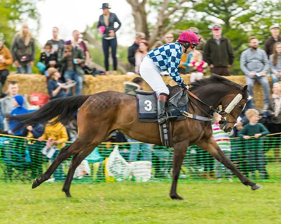 Race 2 - Restricted (4 of 48)