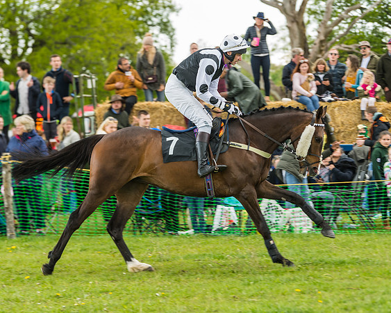 Race 2 - Restricted (8 of 48)