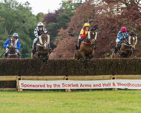 Race 2 - Restricted (10 of 48)
