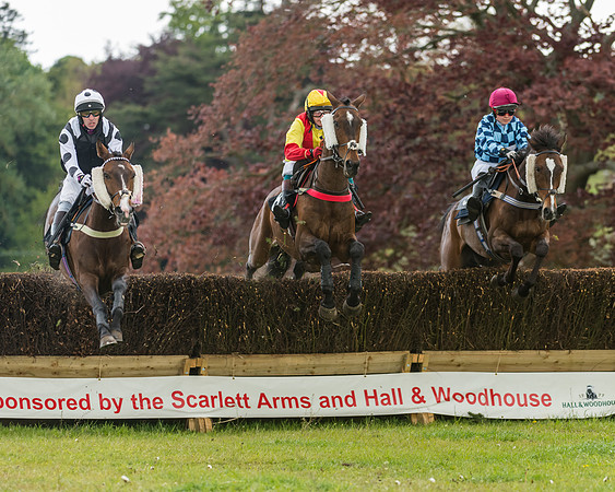 Race 2 - Restricted (11 of 48)