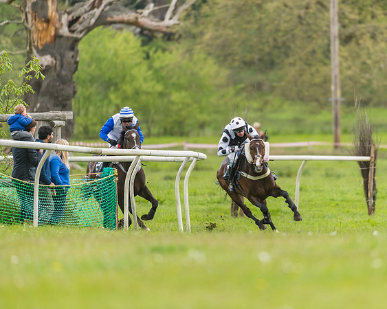 Race 2 - Restricted (29 of 48)