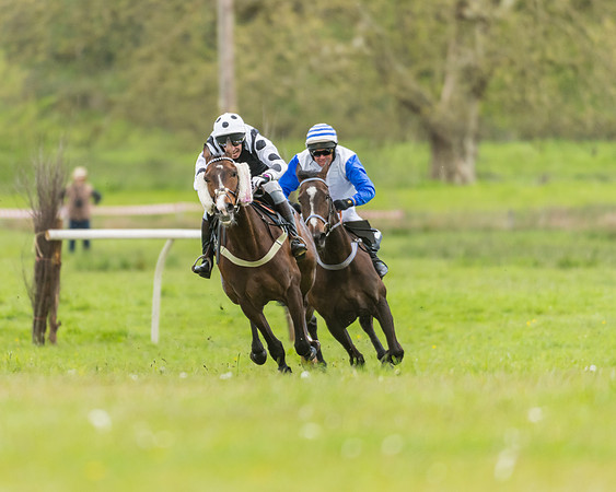 Race 2 - Restricted (31 of 48)