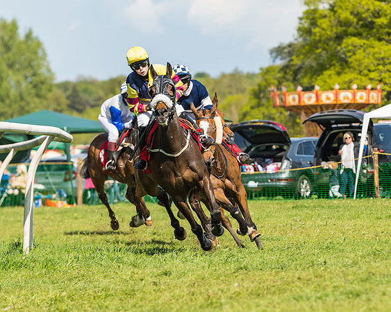 Race 4 - Ladies Open (15 of 78)