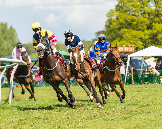 Race 4 - Ladies Open (16 of 78)