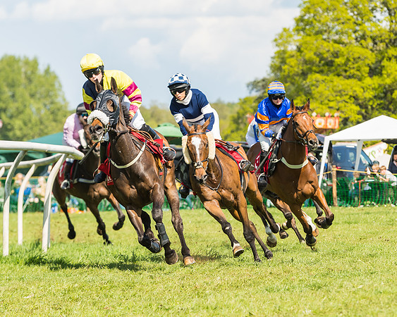 Race 4 - Ladies Open (17 of 78)