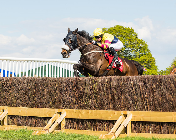Race 4 - Ladies Open (32 of 78)