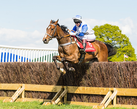 Race 4 - Ladies Open (39 of 78)