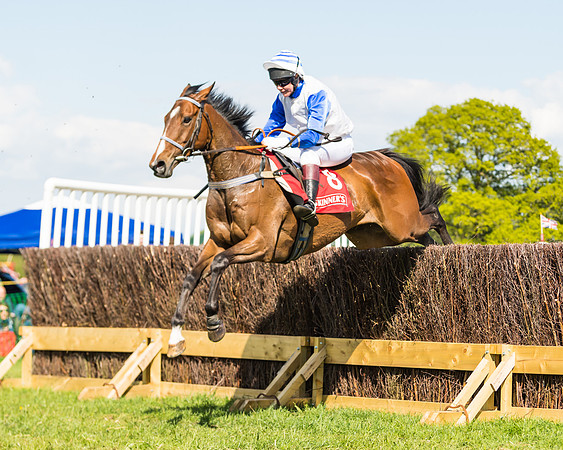 Race 4 - Ladies Open (40 of 78)